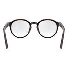 JASP 01, Havana Shiny-, hi-res image number null